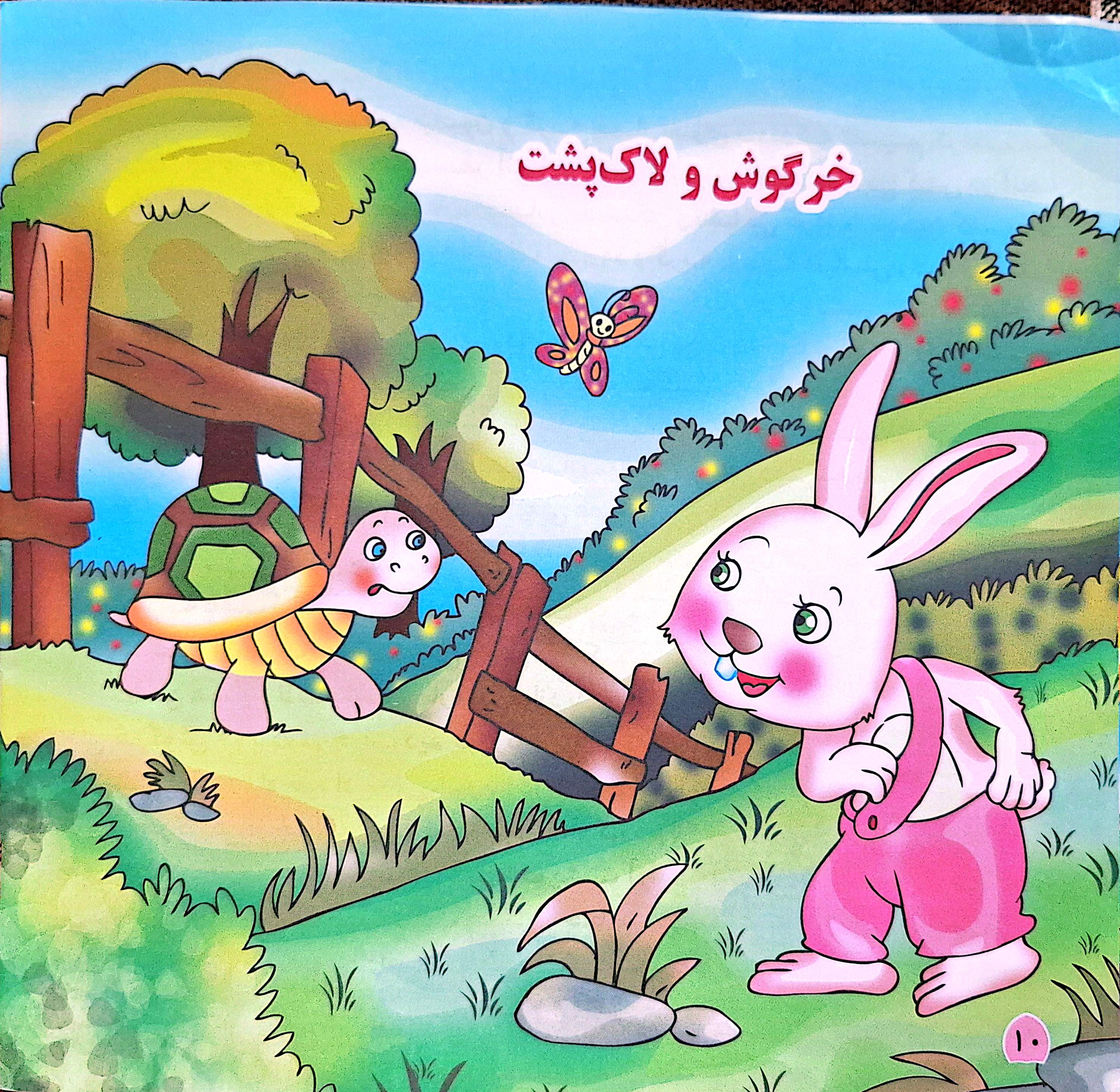 جلد قصه «خرگوش ولاک پشت»